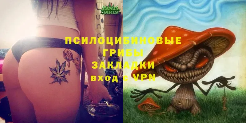 Галлюциногенные грибы GOLDEN TEACHER  Липки 